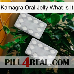 Kamagra Oral Jelly What Is It 17